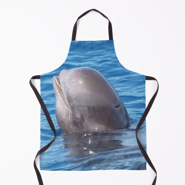 Item preview, Cute wild pilot whale baby designed and sold by Chloé Yzoard.