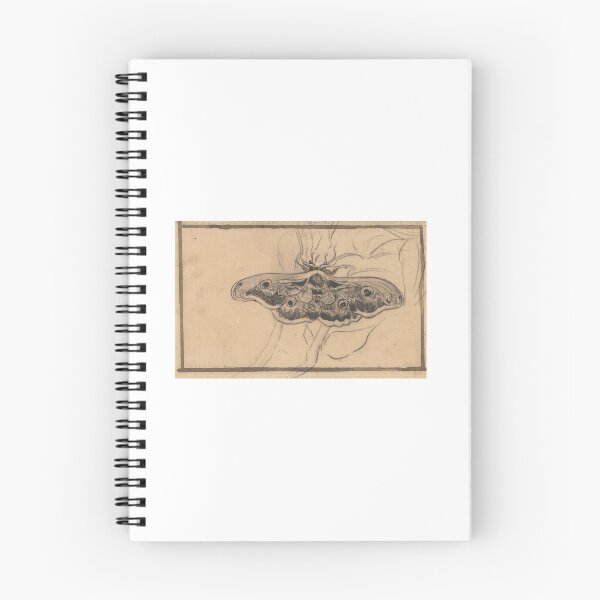 Aperçu de l'œuvre papillon de nuit créée et vendue par leaf97.