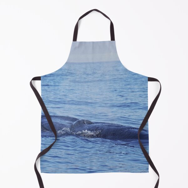 Item preview, Tropical whale: The Bryde´s whale designed and sold by Chloé Yzoard.