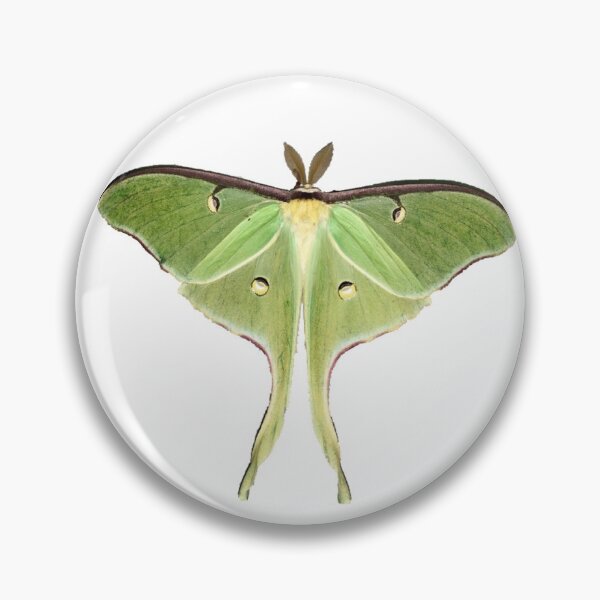 Item preview, Luna Moth designed and sold by Broken Antler Designs .