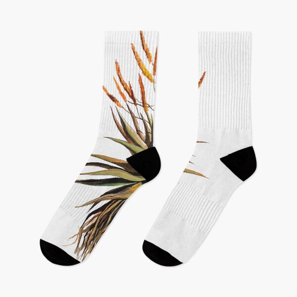 Item preview, Mountain Aloe / Aloe marlothii designed and sold by CarolineJordaan.