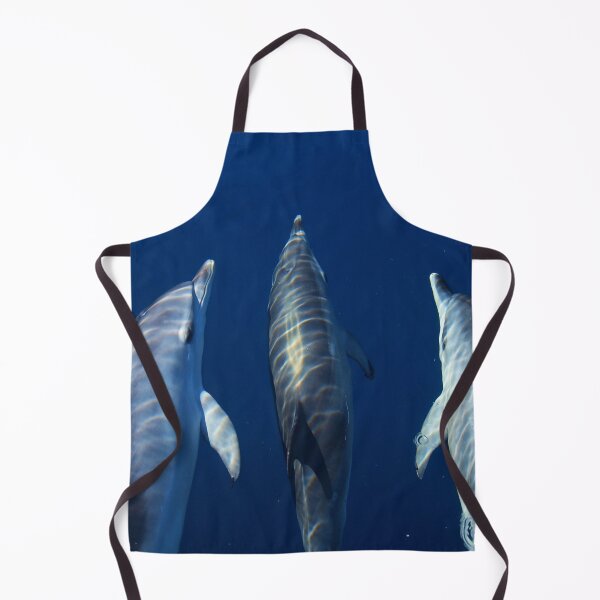 Item preview, Spotted dolphins playing by the boat designed and sold by Chloé Yzoard.