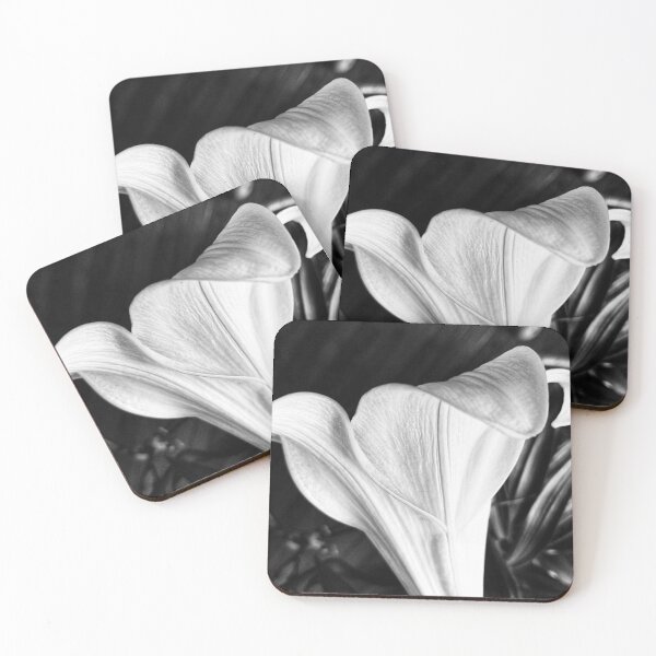 Item preview, Black&White Lily Close-Up designed and sold by ArielsDesigns.