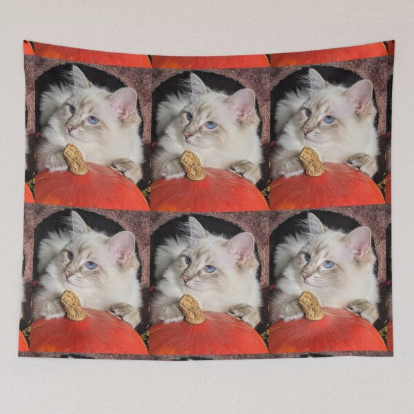 Item preview, Saoirse the lynx ragdoll Halloween designed and sold by Fluffycat2020.