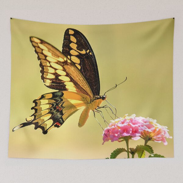 Item preview, Giant Swallowtail Butterfly designed and sold by Lorri Crossno Nevil.