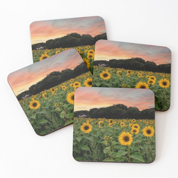 Item preview, sunflowers ,Cornish sunflowers at sunset,sunflower designed and sold by kathleenjean.