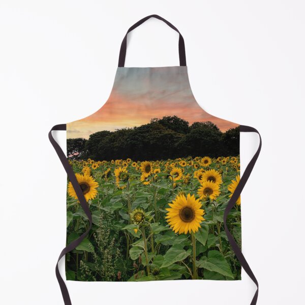 Item preview, sunflowers ,Cornish sunflowers at sunset,sunflower designed and sold by kathleenjean.