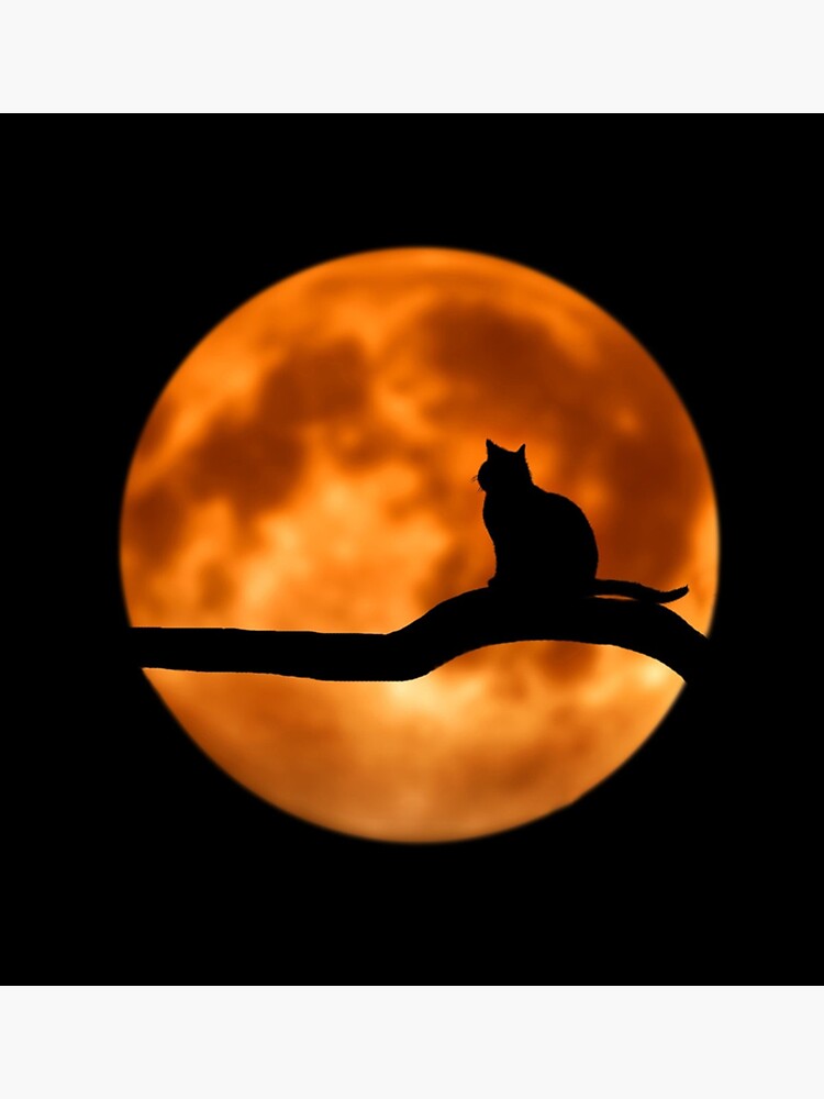 "Black cat, red moon" Sticker for Sale by Murbee Redbubble