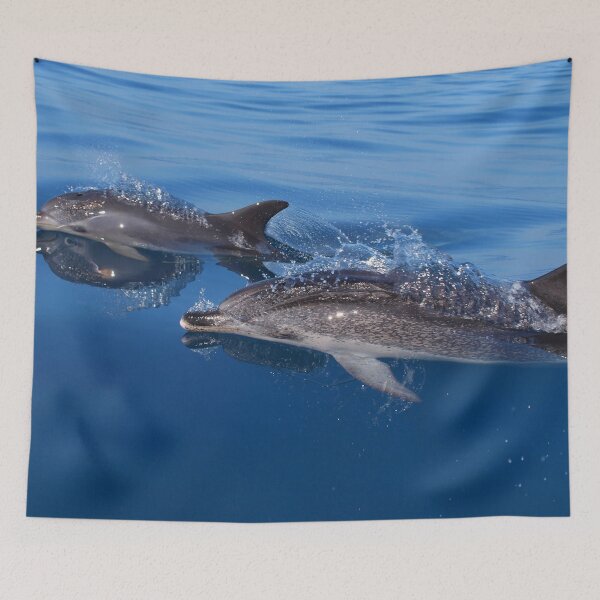 Item preview, Atlantic spotted dolphins, mother and baby dolphin (Stenella frontalis) designed and sold by Chloé Yzoard.