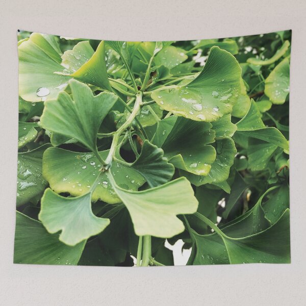 Item preview, Ginkgo after Rain designed and sold by A H GINARTE.