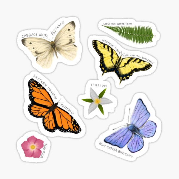 Item preview, Butterflies and Blooms designed and sold by Fernheart Designs.