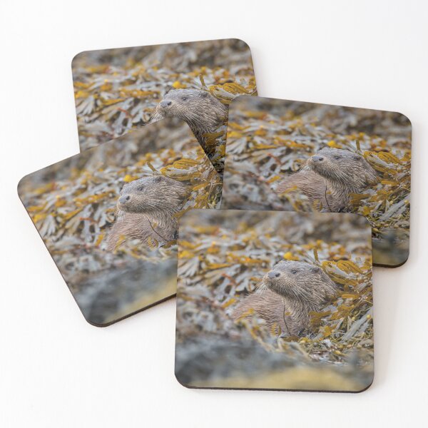 Item preview, Otterly Wonderful  designed and sold by iaintall.