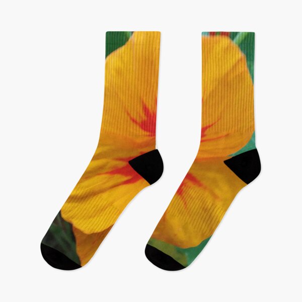 Item preview, Nasturtium still blooms in Autumn designed and sold by edwardtiptonart.