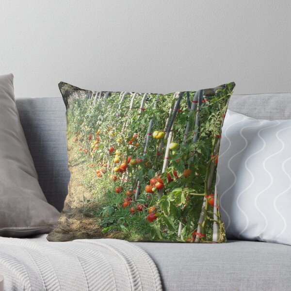 Item preview, The fruit of the vine. designed and sold by Paul Pasco.