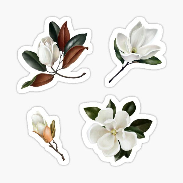 Item preview, Magnolia Sticker Pack designed and sold by muskitt.