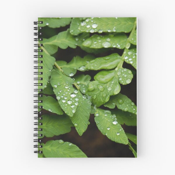 Item preview, Droplets on leaves designed and sold by Cathyphoto.