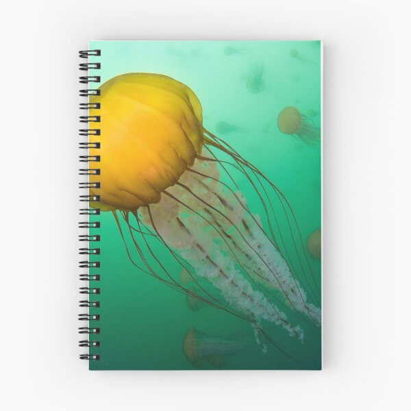 Item preview, Jelly soup designed and sold by Divecbr.