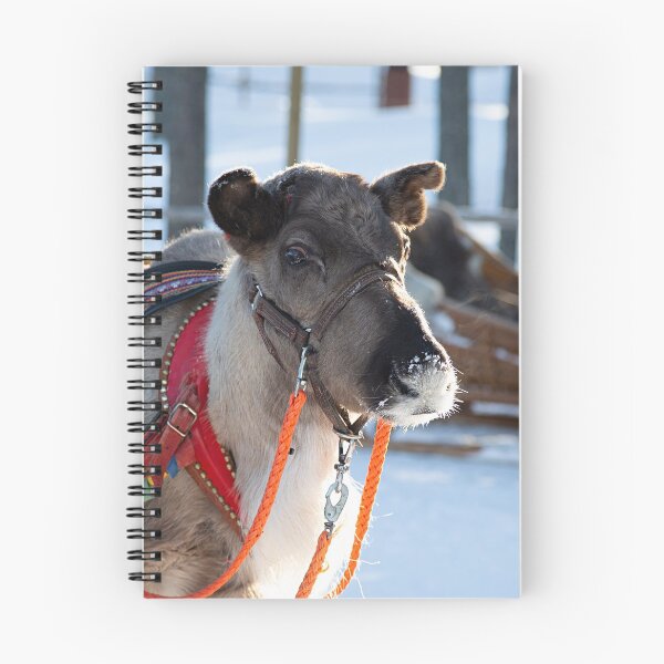 Item preview, Santa Claus Reindeer designed and sold by FotoJarmo.