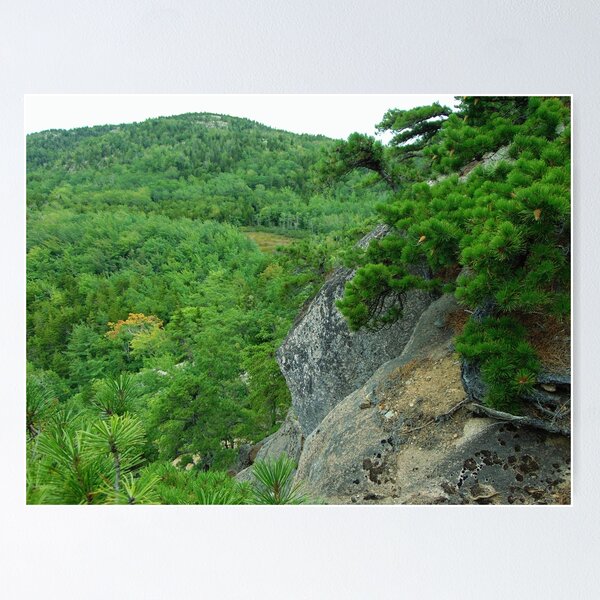 Item preview, Cliffside view of valley of pine designed and sold by Oak Croissant.