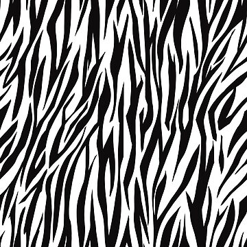 Artwork thumbnail, Zebra pattern by stavina