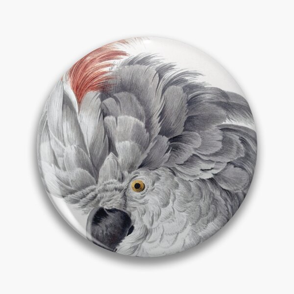 Item preview, Cockatoo Head (1725–1792) painting in high resolution by Aert Schouman designed and sold by LenaShines.