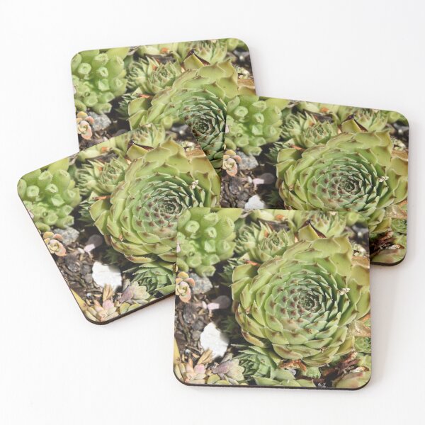 Item preview, Succulents designed and sold by GBGart.