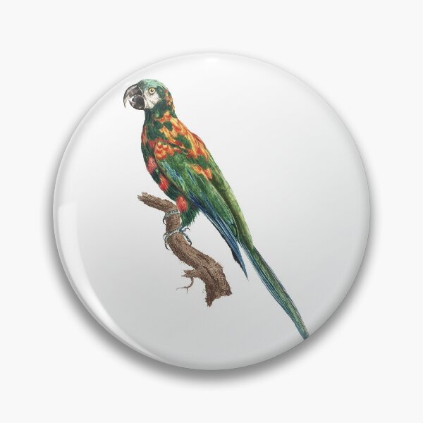 Item preview, The Blue Winged Macaw designed and sold by DigDon.