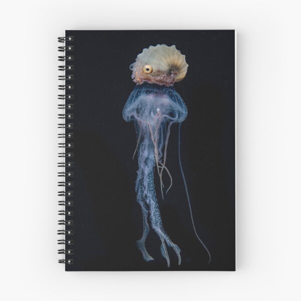Item preview, Hitch hiking Argonaut designed and sold by Divecbr.