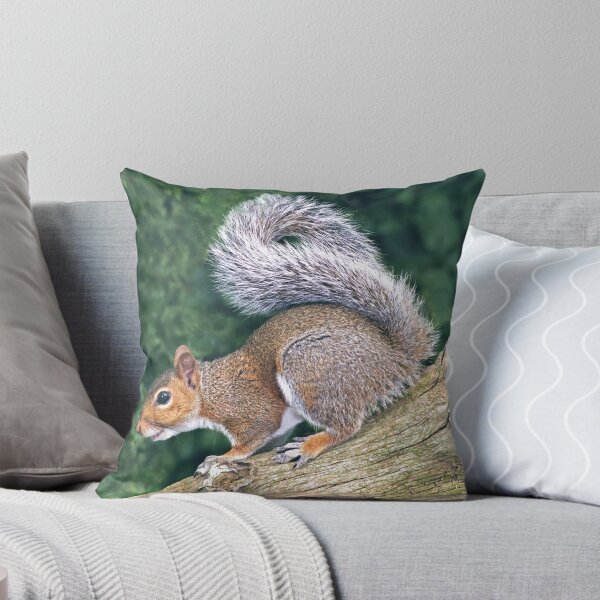 Item preview, Grey Squirrel (Sciurus Carolinensis) designed and sold by ten2eight.