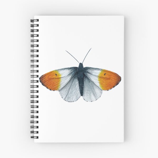 Item preview, Orange Tip Butterfly designed and sold by ibleedheart.