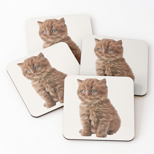 Item preview, A Brown Fluffy Little Kitten Sits And Looks designed and sold by Phantasmal-2-do.