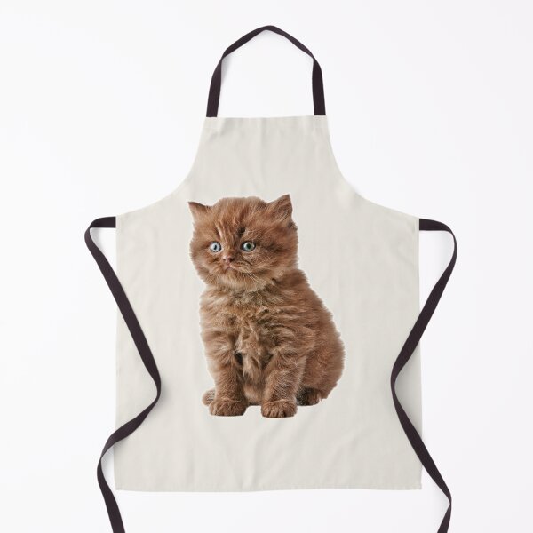 Item preview, A Brown Fluffy Little Kitten Sits And Looks designed and sold by Phantasmal-2-do.