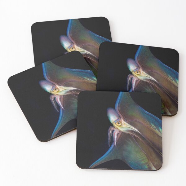 Item preview, Blanket Octopus designed and sold by Divecbr.