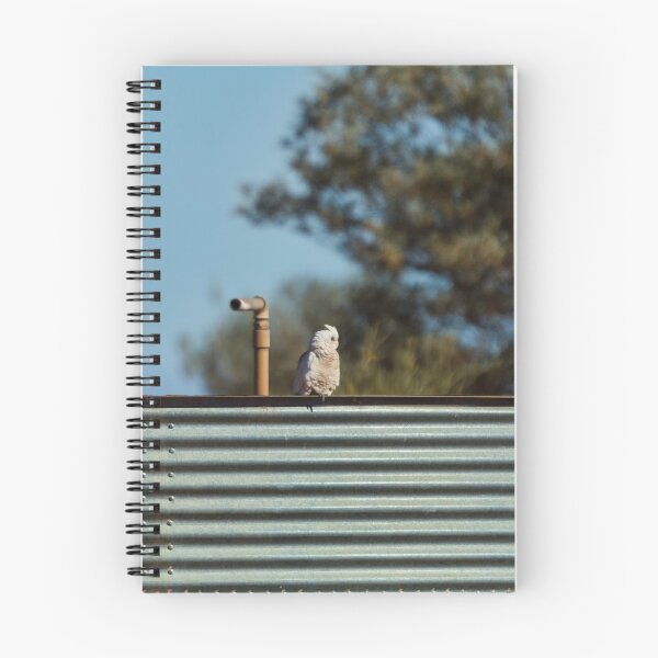 Item preview, Corellas - Kilcowera Station designed and sold by Malcolm Katon.