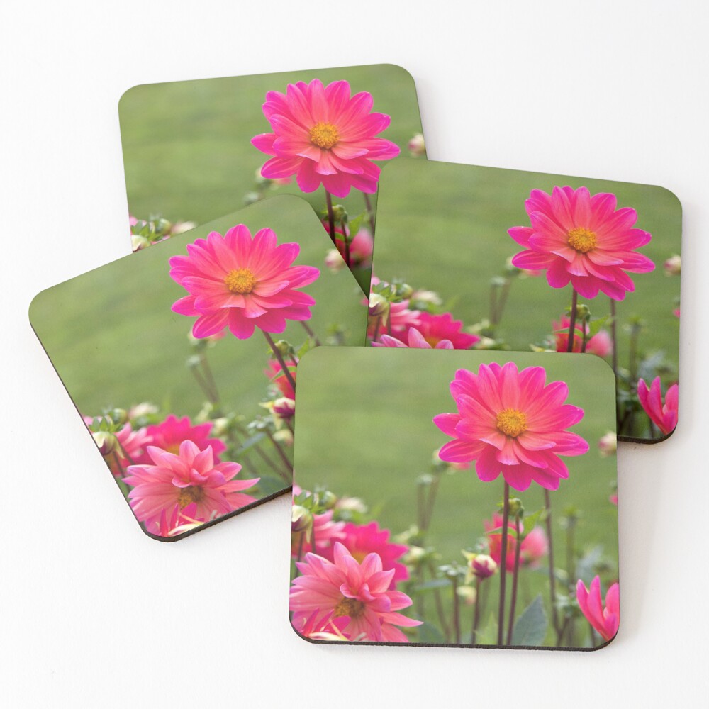Item preview, Coasters (Set of 4) designed and sold by RissaDD.
