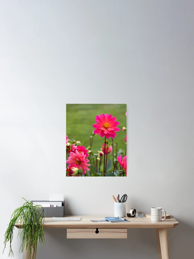 Thumbnail 2 of 3, Poster, Flower Power designed and sold by RissaDD.