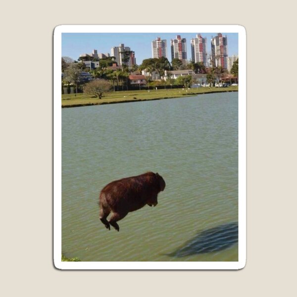 Le capybara volant Magnet