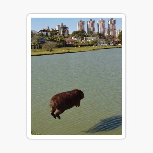 The flying capybara Sticker