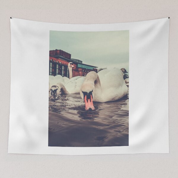 Item preview, Swan designed and sold by FosterSheehan.