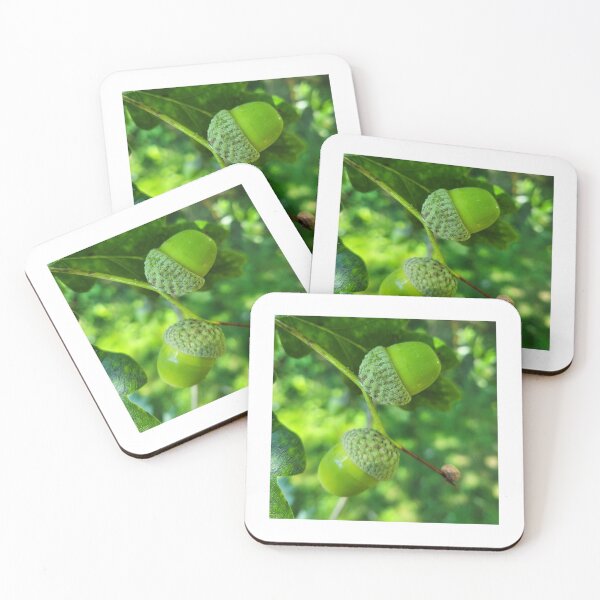 Item preview, Acorn Tree designed and sold by NinjaPhoto47.