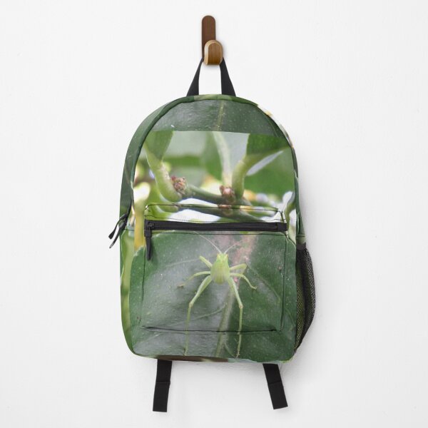 Item preview, Katydid in lemon tree designed and sold by greentiger1.
