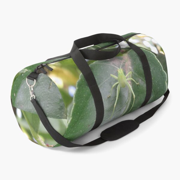 Item preview, Katydid in lemon tree designed and sold by greentiger1.