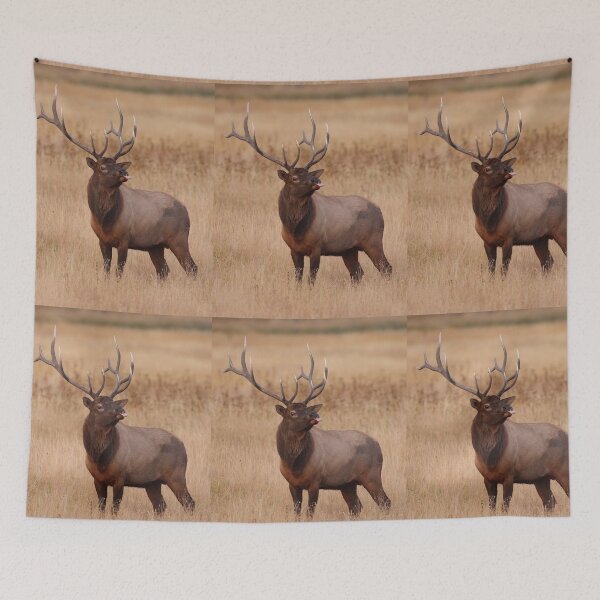 Tapestry