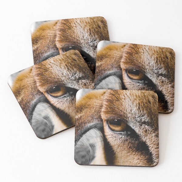 Item preview, The Stare designed and sold by Paul Finnegan.