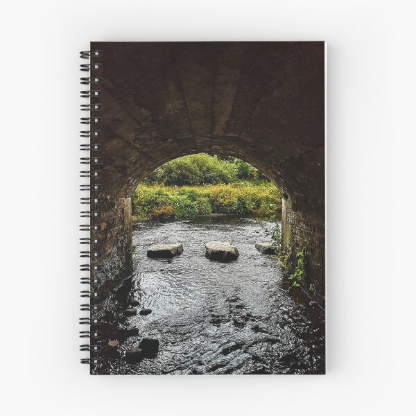 Item preview, Stepping Stones designed and sold by Paul Finnegan.