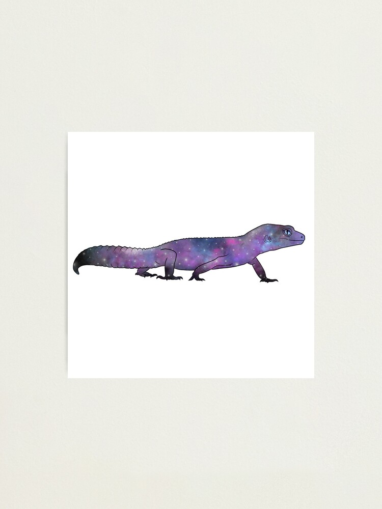 Leopard Gecko on Blue print by Editors Choice