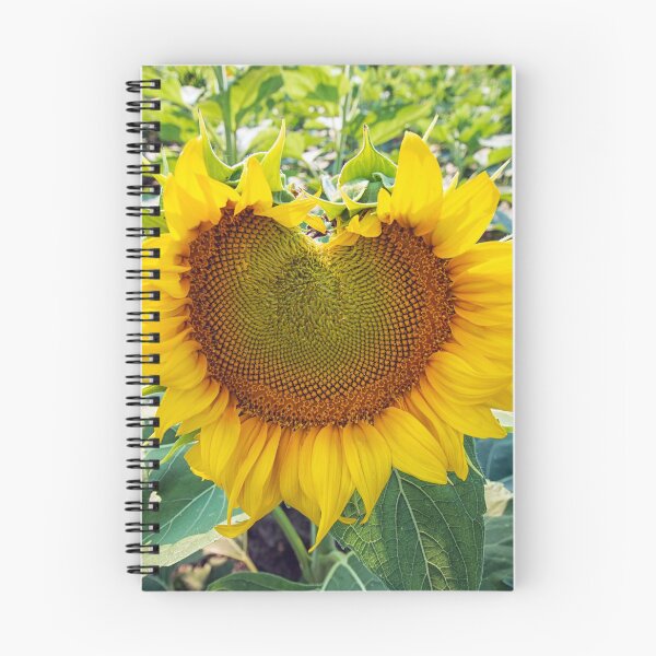 Item preview, Heart Sunflower canvas prints, sunflower gifts, wall prints, home décor designed and sold by Lisa Herigon.
