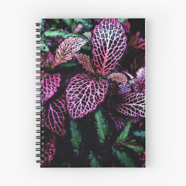 Item preview.