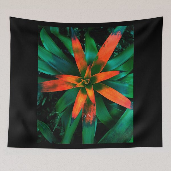 Item preview.
