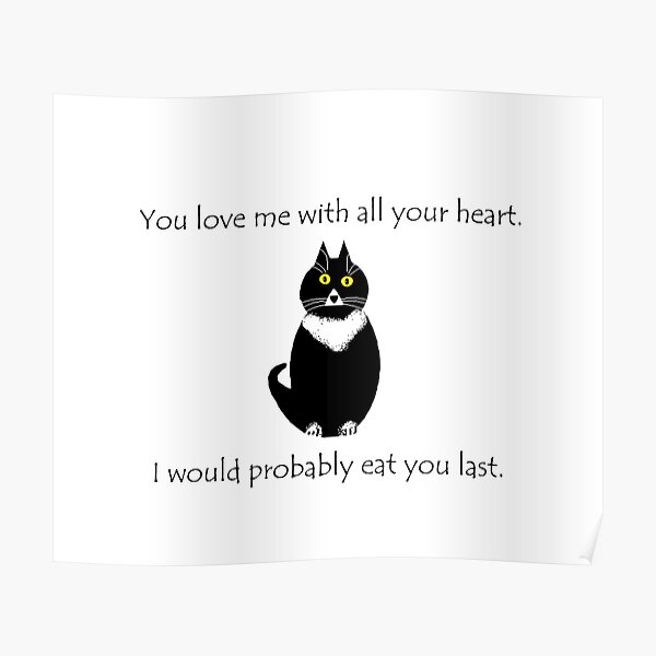 "Your cat loves you this much." Poster by WonkyEyedCat Redbubble